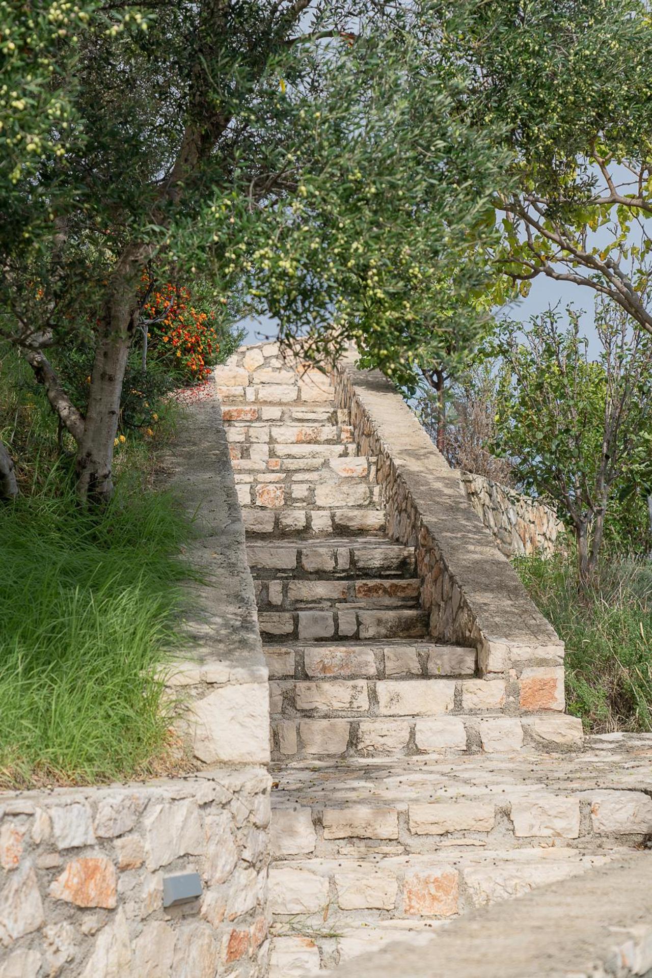 Kymothoe Elite Suites Tsilivi  Exterior photo
